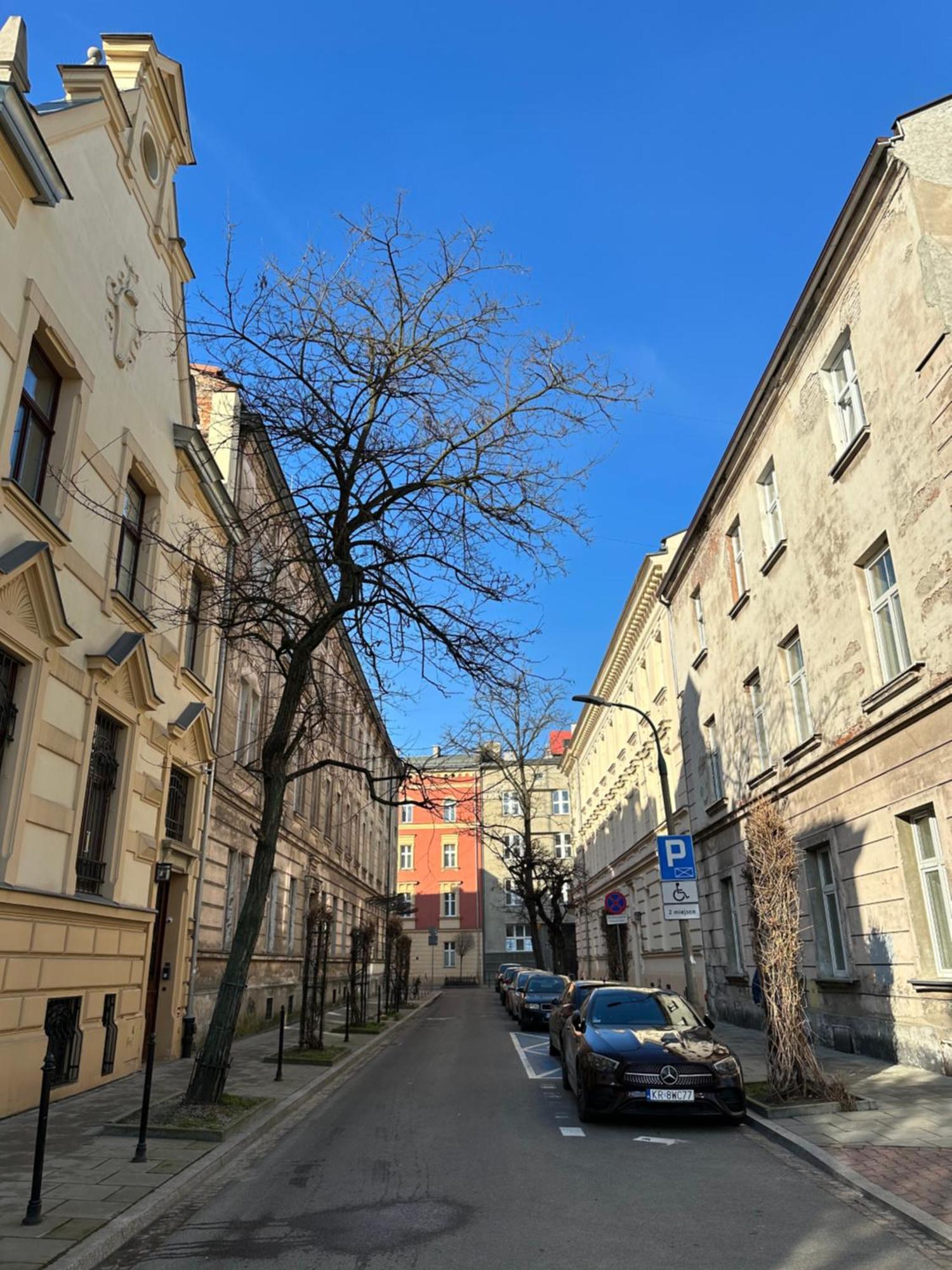 Perfect Place To Stay In Krakow City Center 28M2 W1 Exterior foto